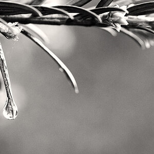 regensonne1