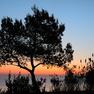 vor Sonnenaufgang an Spanischer Klippe
