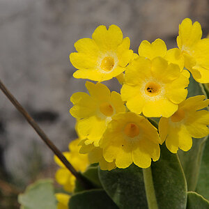 kDSC 0079