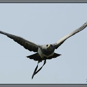 Vogelpark 05