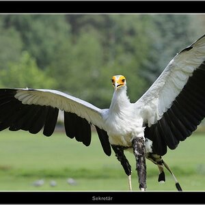 Vogelpark 10