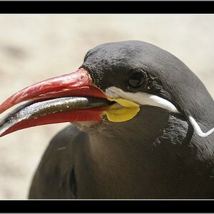 Vogelpark 14