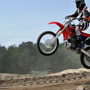 12448 Cross