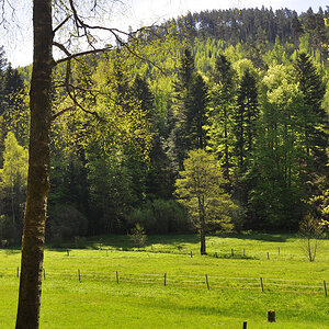 DSC 3726 Eyach