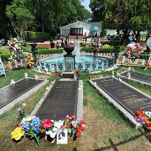 Elvis