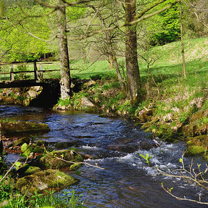 DSC 3737 Eyach