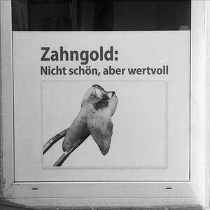 37600adoxsilvermaxzahngold