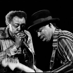 Lurrie Bell Carey Bell 1981 1