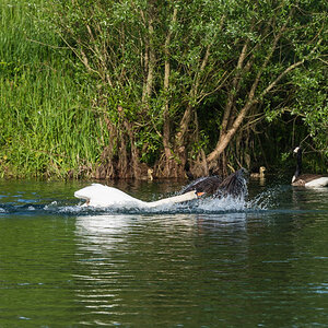 N01 5259 V2