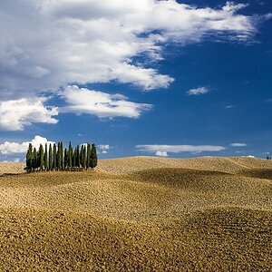 Toscana Baumgruppe