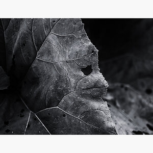 L1000831 Bearbeitet