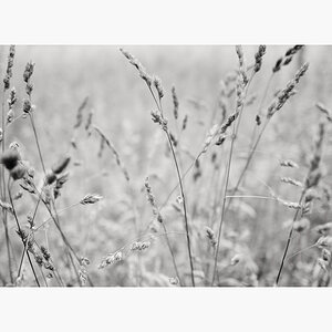 L1000677 Bearbeitet