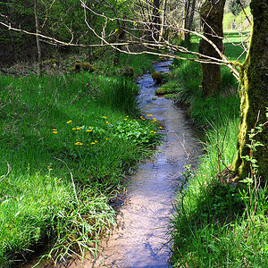 DSC 3781 Eyach
