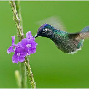 Costa Rica 0746