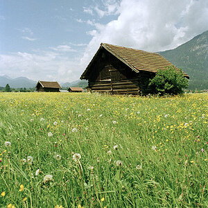 Bayern 63
