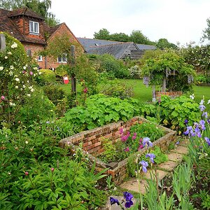 2014 England 159