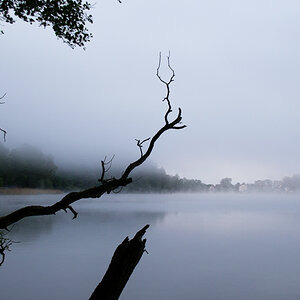 Nebel überm Wurlsee