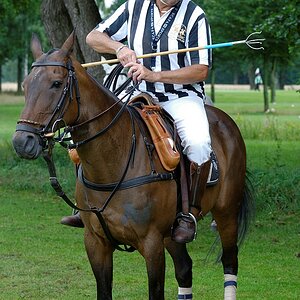 Referee