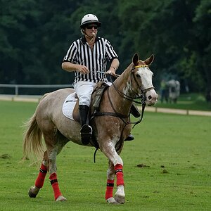 Referee II
