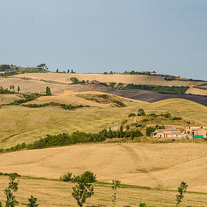 DSC 7900