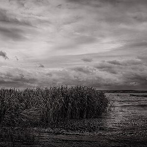 achterwasser