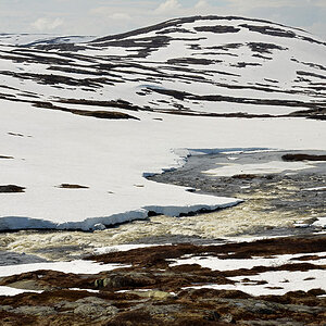 DSC 6267 Hardangervidda
