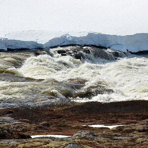 DSC 6273 Hardangervidda