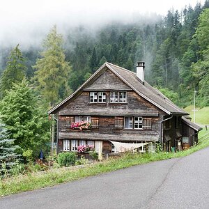 IMG5697 01