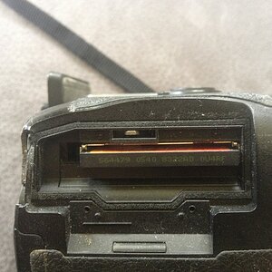 IMG 0957