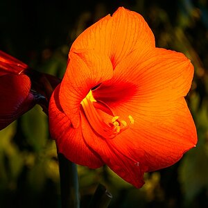 G000111c