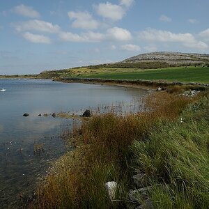 DSC 2391a