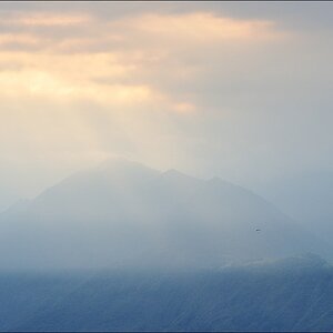 comp DSC 2811