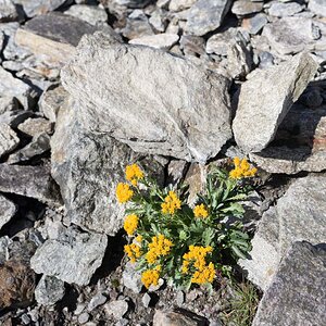 IMG5751 01