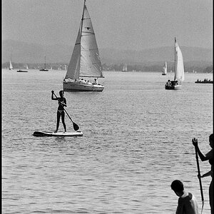 Sommer 2015 Starnberg 3