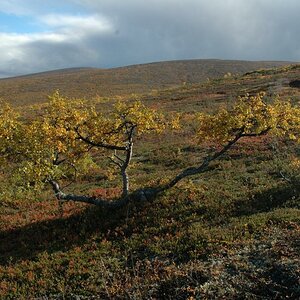 UKK Nationalpark 2