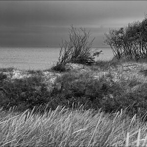 comp DSC04678 SW