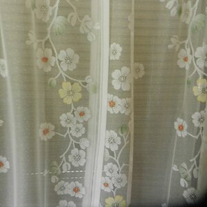 DSCN0001 1