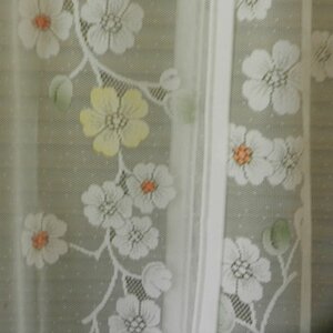 DSCN0002 1