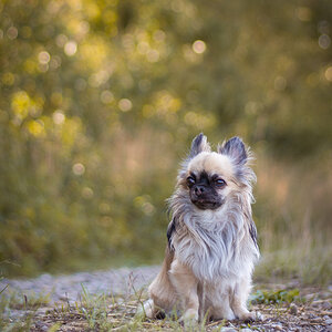 DSC 3877F