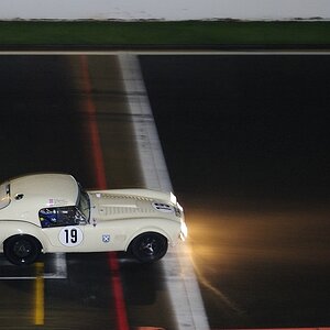 19 SHELBY Cobra