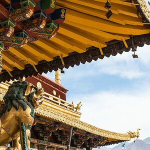 comp PD 46 File 004