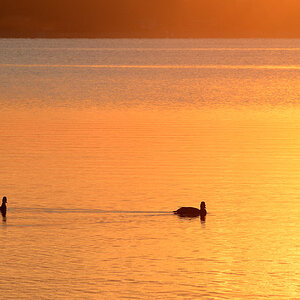 DSC 6761 Stille