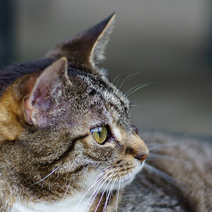 20130728 DSC01248