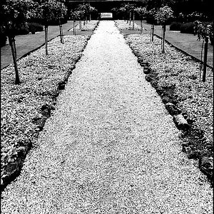 Der Weg Ilford HP-5