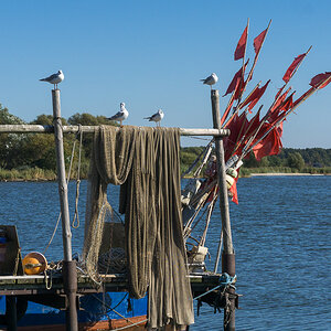 Fischerhafen von Kamminke