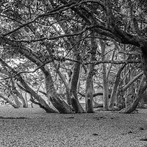 Überschwemmung in Wilpattu NP