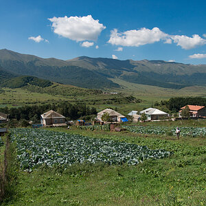 DSC 5492