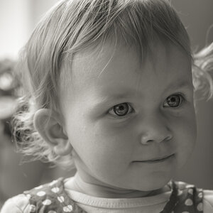 DSC 8423