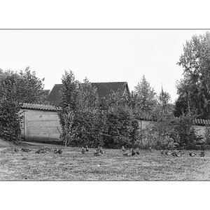 SeeDSC 6204