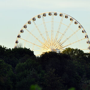 DSC 5040 Niagara